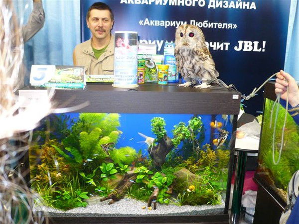 Михаил Колыганов