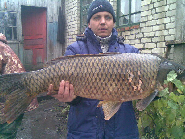 Владимир Старинский
