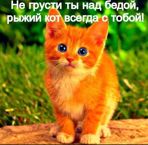 Надежда Нестерова