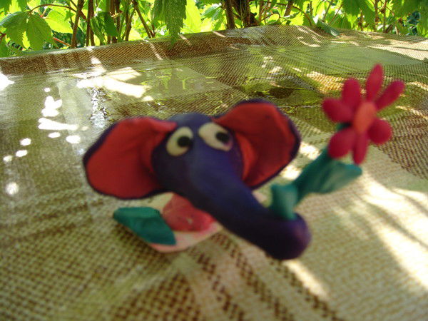 Дмитрий Митла