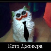 Максим Ефименков