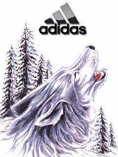 Ваня Кузнецов