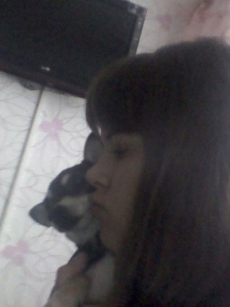 Даша Павлик