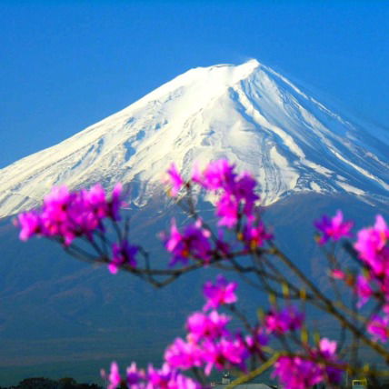 Любовь Шугля