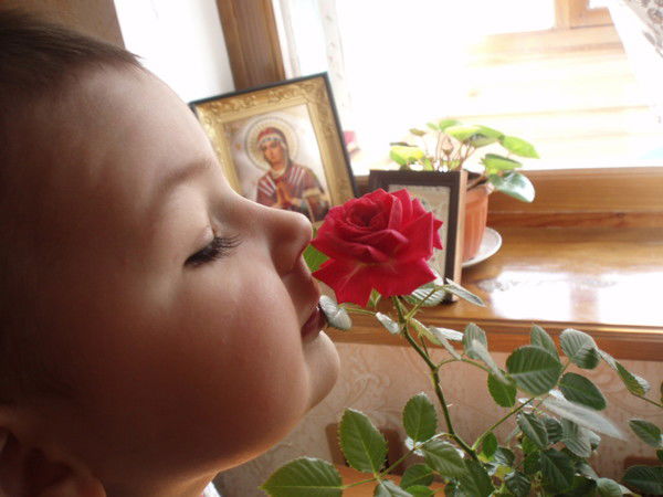 Наталья Забашта