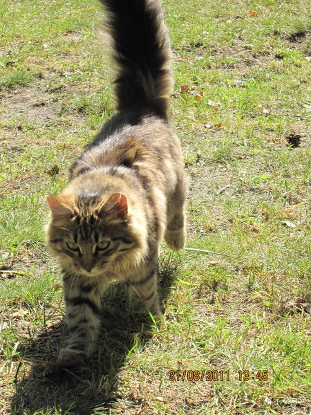 Юлия Васильева