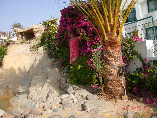 Татьяна Платонова