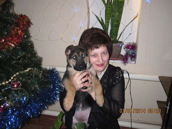 Светлана Клинк