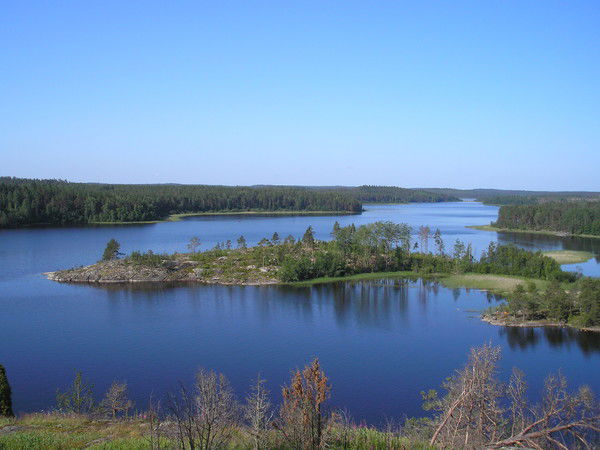 Игорь Вершинин