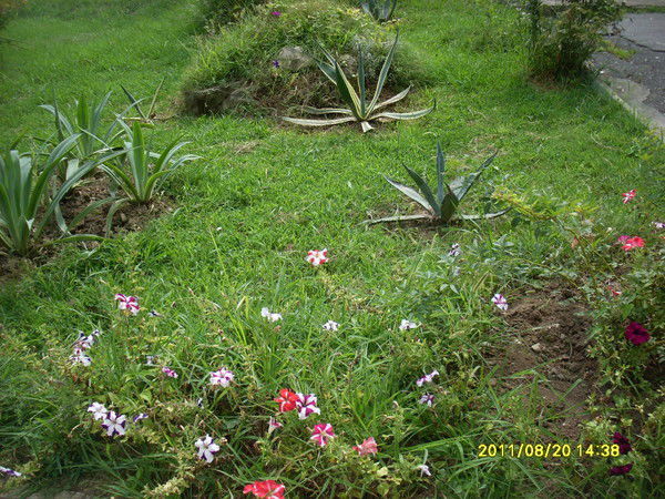 Фатима Гетигежева