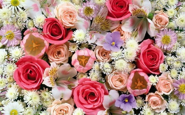 Асель Кудайбергенова