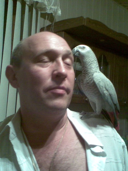 Александр Петров