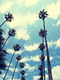 Жаркое Лето