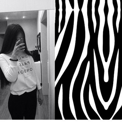 Дания Чечел