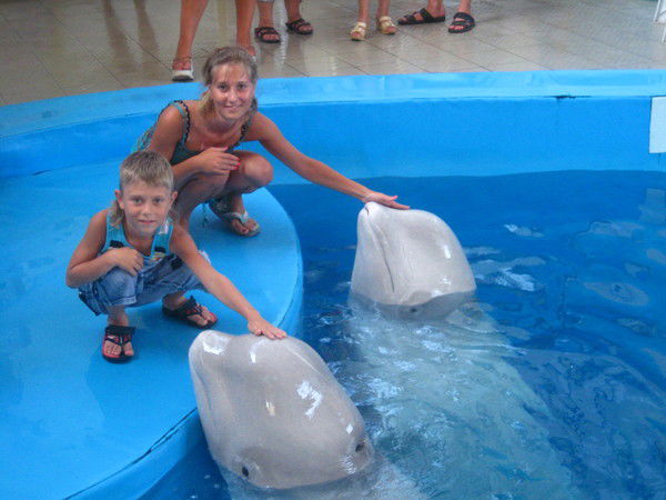 Наталья Алексеенко