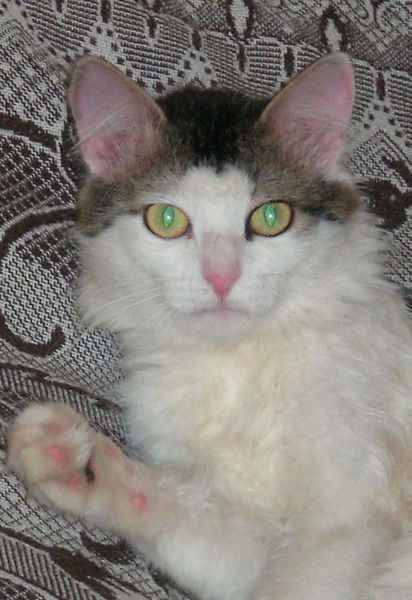 Александр Беляев