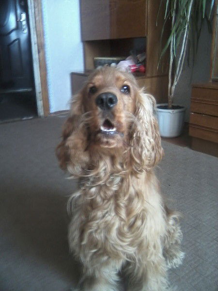 Илья Басацкий