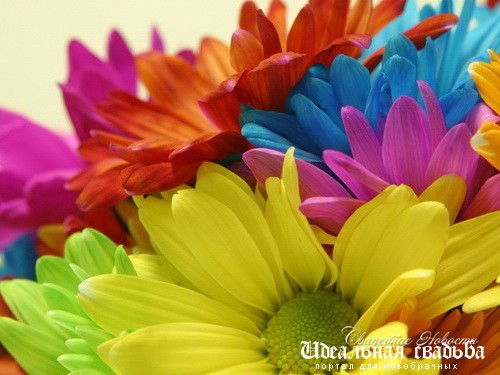 Закия Шатманова