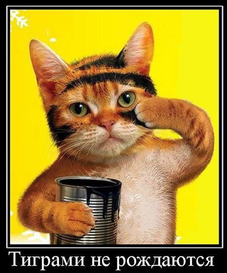 Александр Раджабов