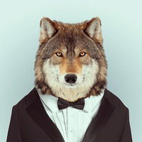 Максим Магдич