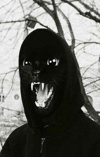 Дима Шкуратов