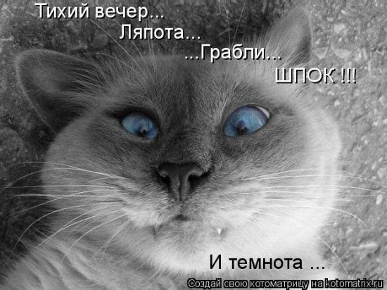 Саша Иванов