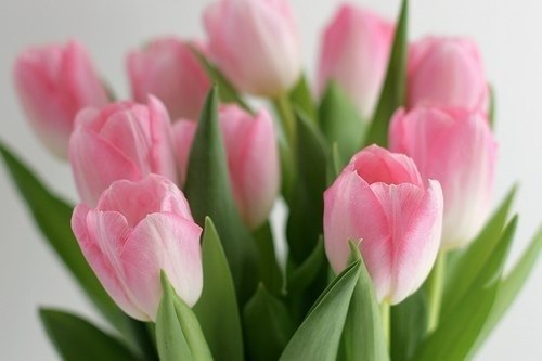 Фарида Мунтынова