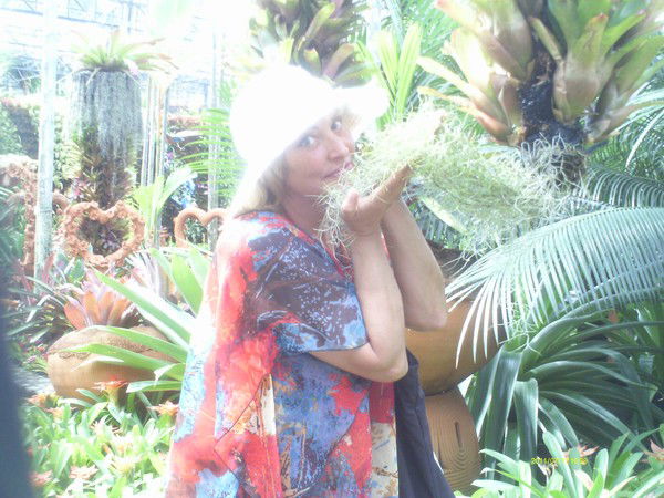 Елена Фирстова