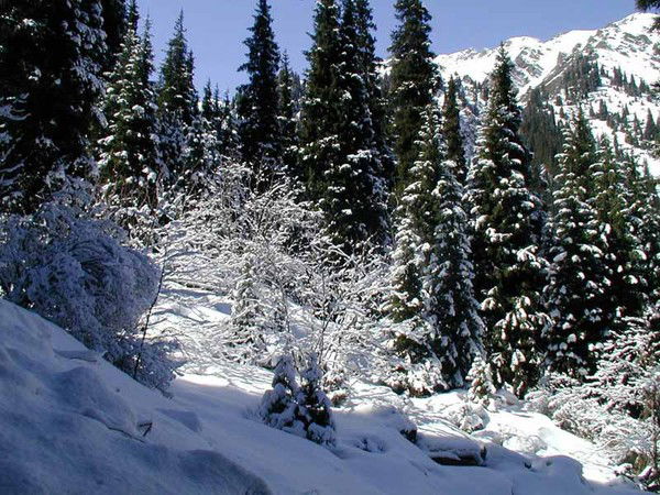 Андрей Чернобай