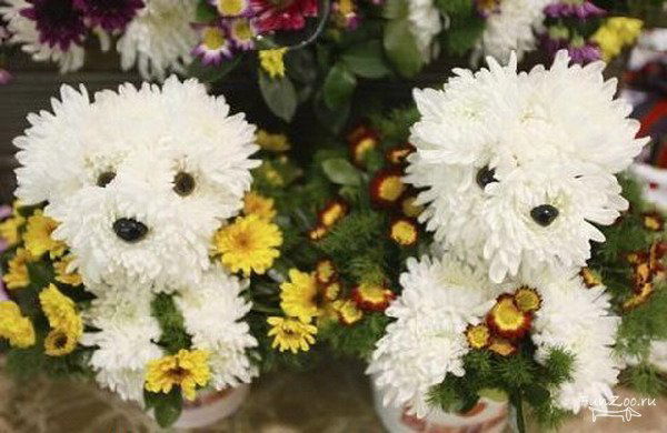 Алена Эрдыниева(Пилюгина)