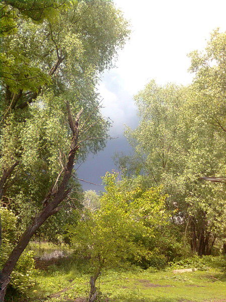 Настя Червона