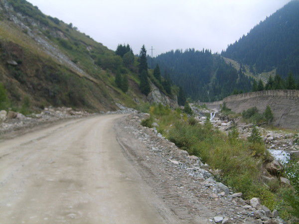 Алимжан Омаров