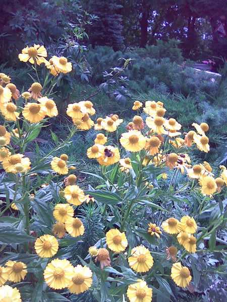 Анар Искакова