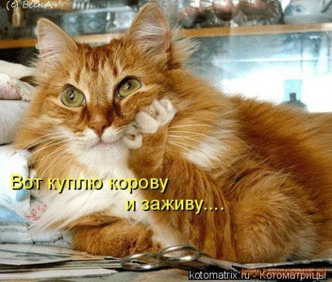 Алексей Викторович