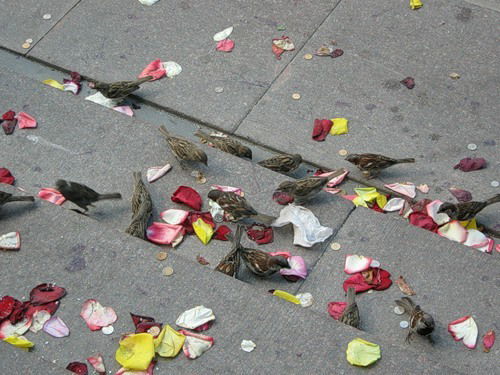 Гульзада Хусаинова