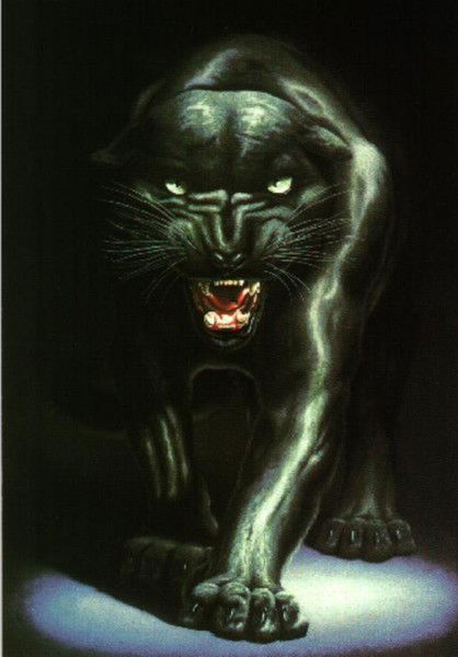 Аня Моисеева