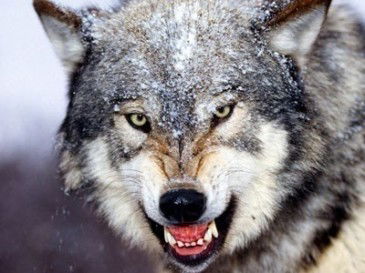 Aaaaaaaaaaaaaaaaaaaaaaaa Aaaaaaaaaaaaaaa