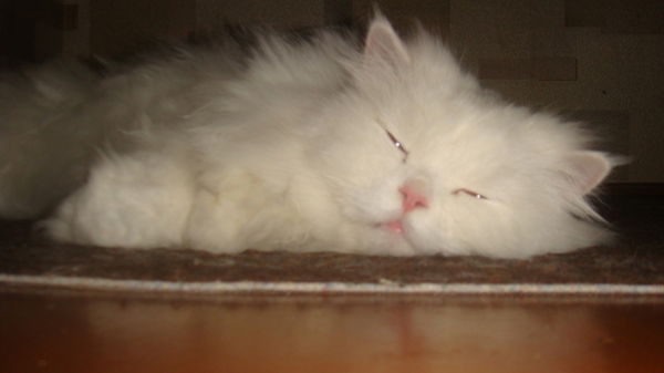 Андрей Марусин