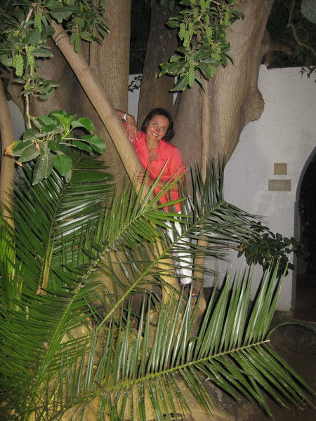 Анжела Пасикова