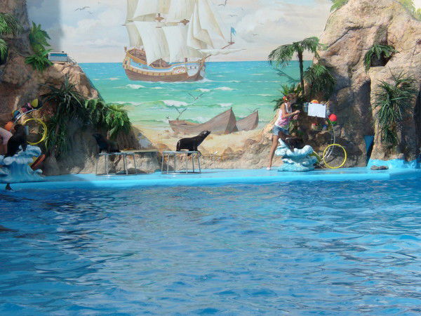 Юрий Саинсус