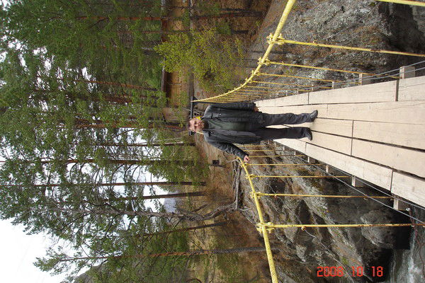 Андрей Погонин