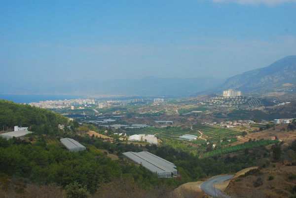 Ольга Морарь