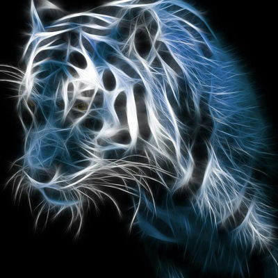 Алексей Волков