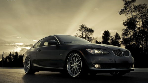 Котя Максимкина