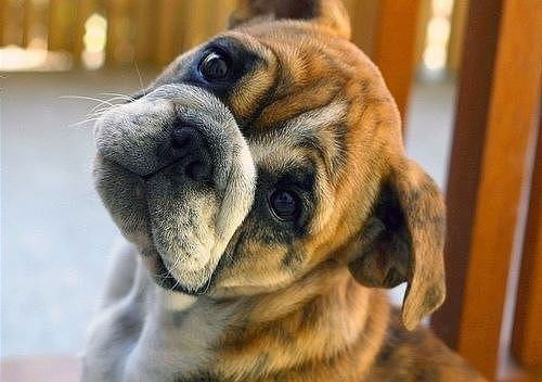 Любовь Гаджиева