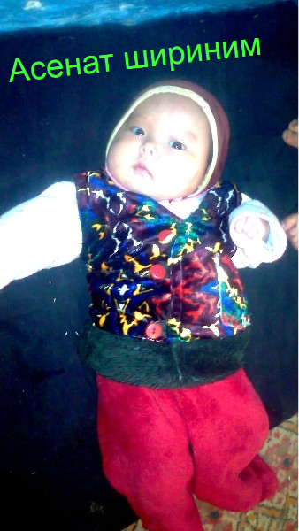 Жибек Адигине Кызы