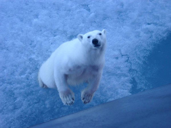 Ростислав Родь