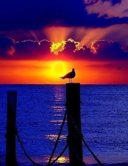 Елена Егорова