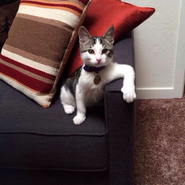 Елена Матыцына