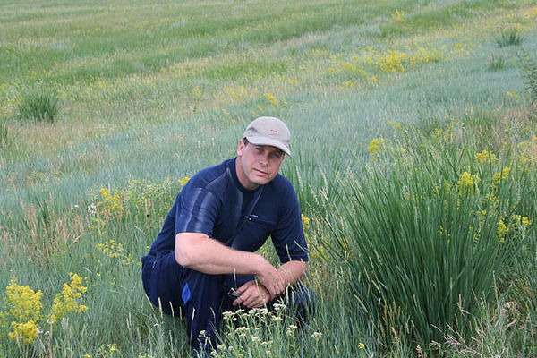 Владимир Полевод